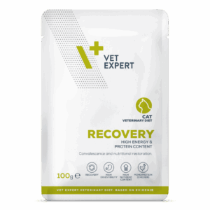 Vet Expert Recovery Cat 100g (Wet) - 3s